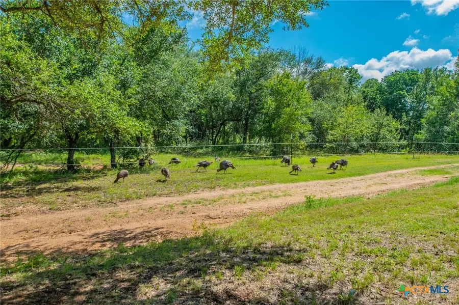 622 Private Road 4053, Buckholts, TX 76518 - #3