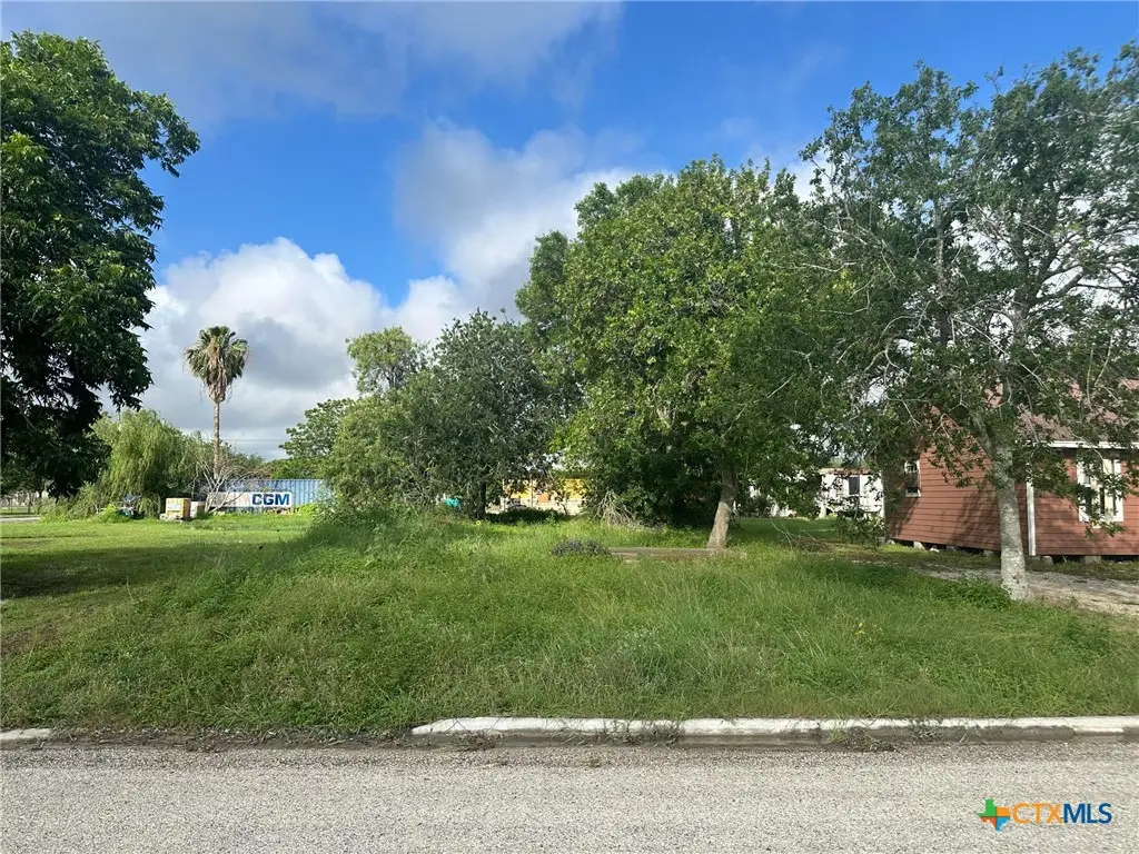 719 S Benavides Street, Port Lavaca, TX 77979 - #1