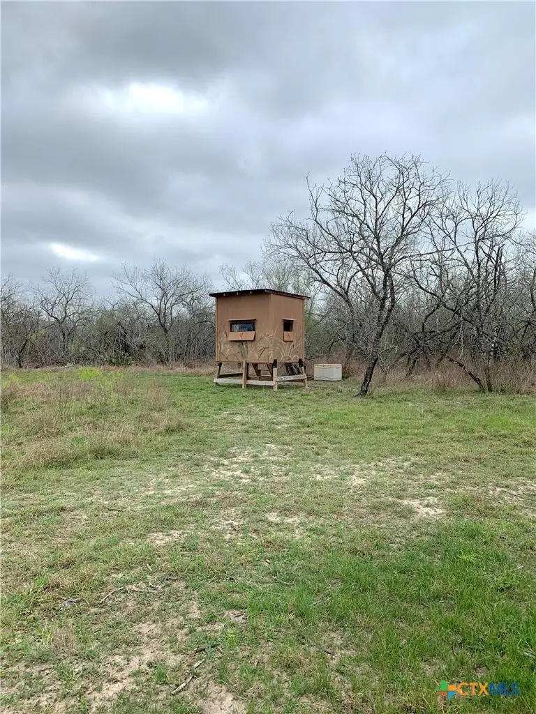 000 Pierce Road, Goliad, TX 77963 - #2