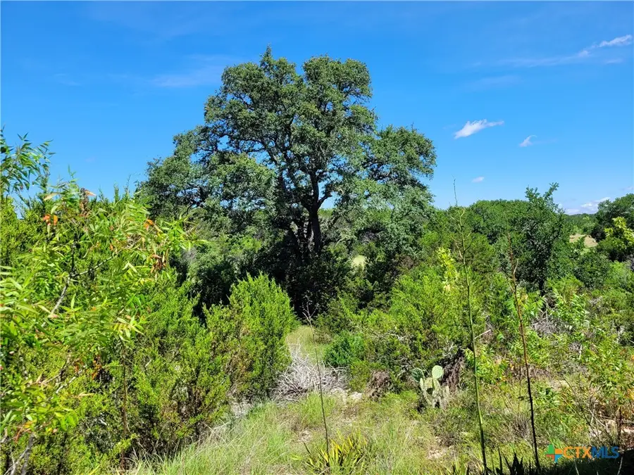 TBD Cr 1139 575 Acres, Lampasas, TX 76550 - #2