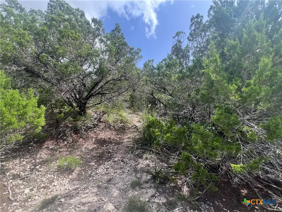 268 Scenic Hills Drive, Canyon Lake, TX 78133 - #2