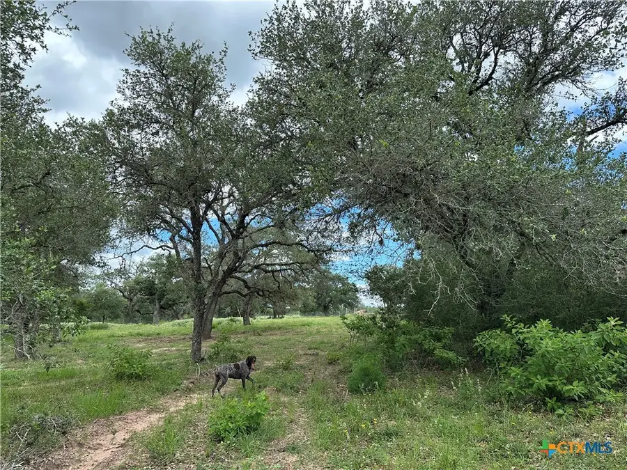 5 Burlin Lane, Meyersville, TX 77974 - #2