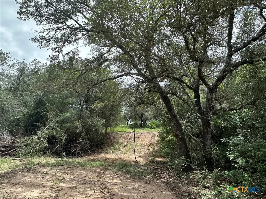 8 Burlin Lane, Meyersville, TX 77974 - #2