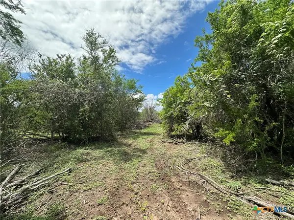 9 Burlin Lane, Meyersville, TX 77974