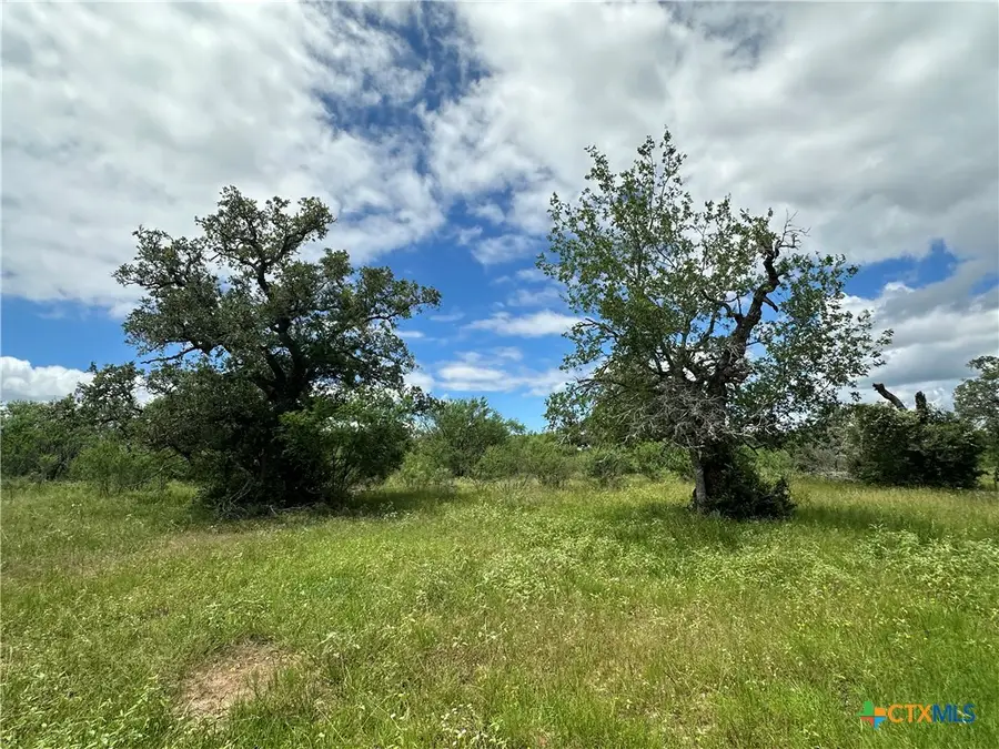 9 Burlin Lane, Meyersville, TX 77974 - #2