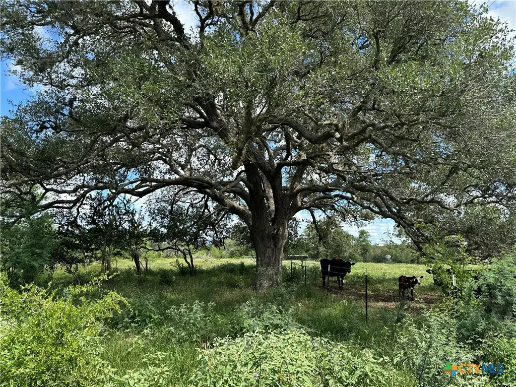 10 Burlin Lane, Meyersville, TX 77974 - #1