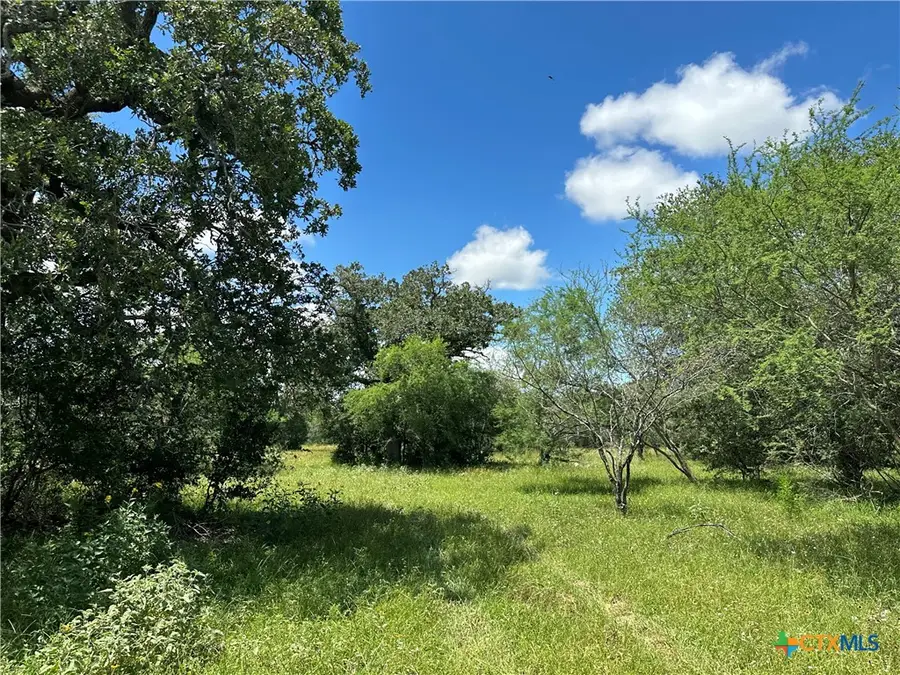 10 Burlin Lane, Meyersville, TX 77974 - #2