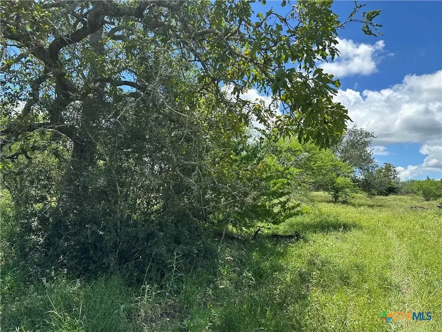 10 Burlin Lane, Meyersville, TX 77974 - #3