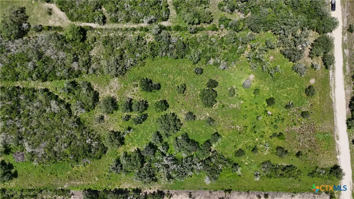 TBD Fm 1351, Goliad, TX 77963 - #1