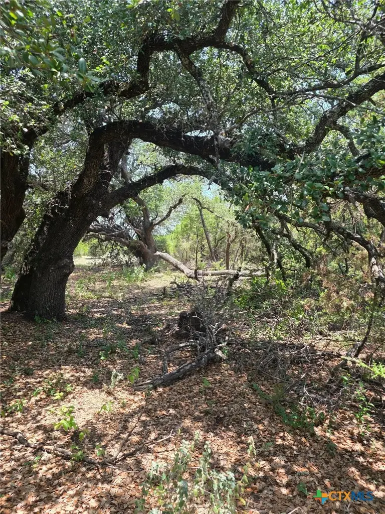 3366 Cr 419, Evant, TX 76525 - #1
