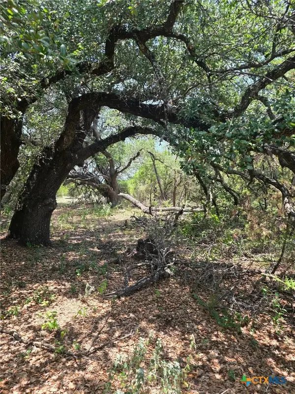 3366 Cr 419, Evant, TX 76525