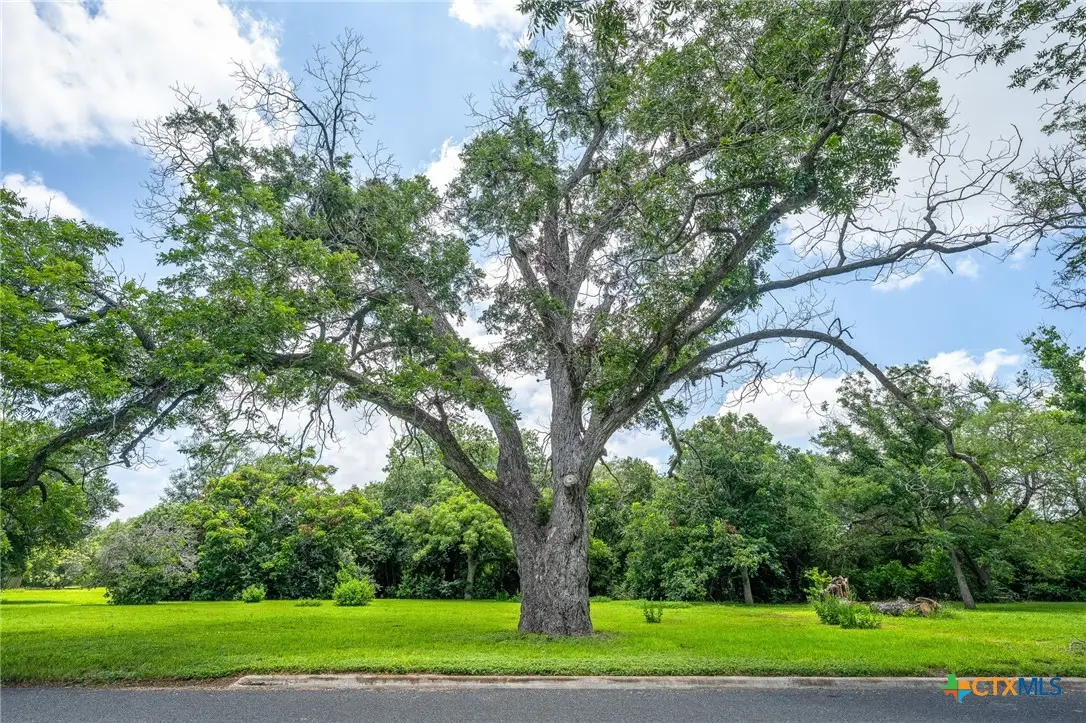 24 Glen Cove Drive, Seguin, TX 78155 - #1