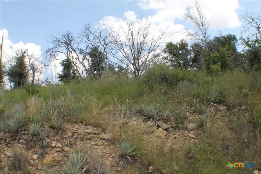0 Newcastle Dr, Brownwood, TX 76801 - #2