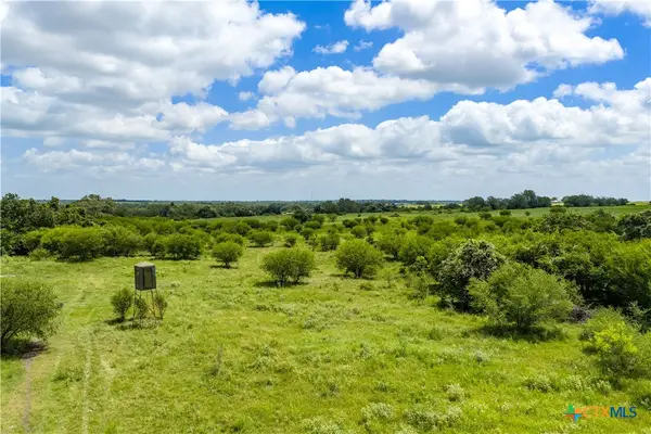 596 Hallemann Road, Goliad, TX 77963