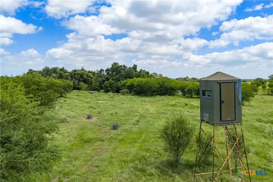 596 Hallemann Road, Goliad, TX 77963 - #2