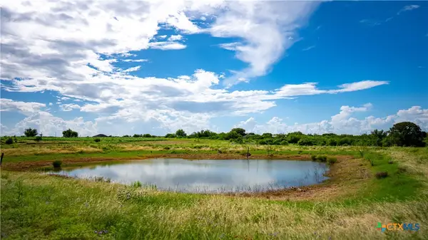 173401 Fargoer Way, Marion, TX 78124