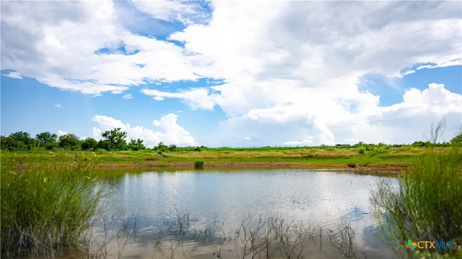 173401 Fargoer Way, Marion, TX 78124 - #2