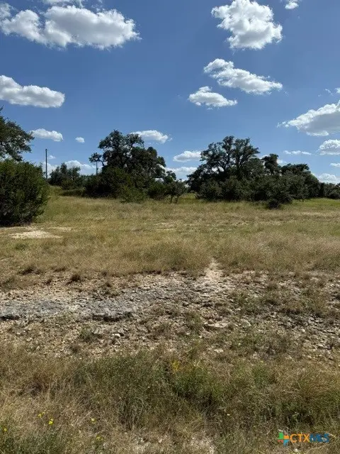 137 W Pat Dolan, Blanco, TX 78606 - #2