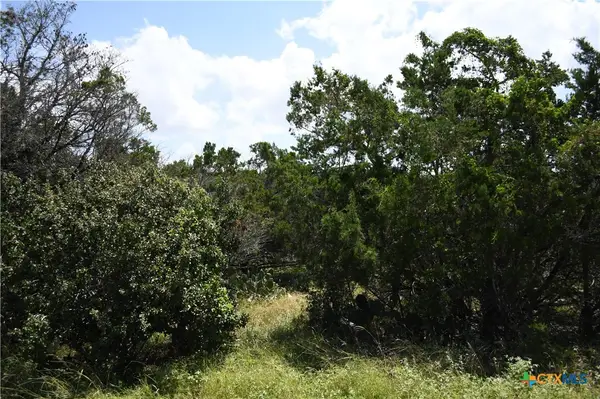1318 Hidden Valley Drive, Spring Branch, TX 78070