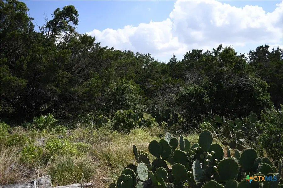 1318 Hidden Valley Drive, Spring Branch, TX 78070 - #3