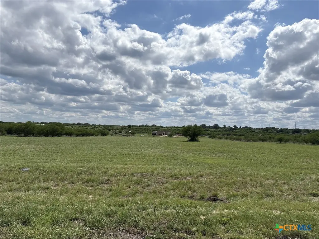 3373 Wetz Road, Marion, TX 78124 - #1