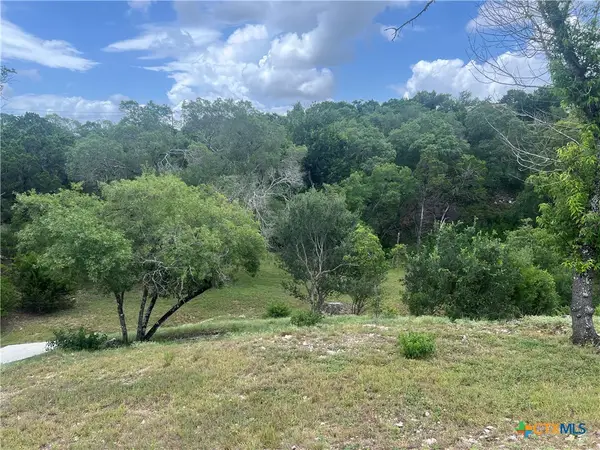 439 Twilight Drive, Canyon Lake, TX 78133