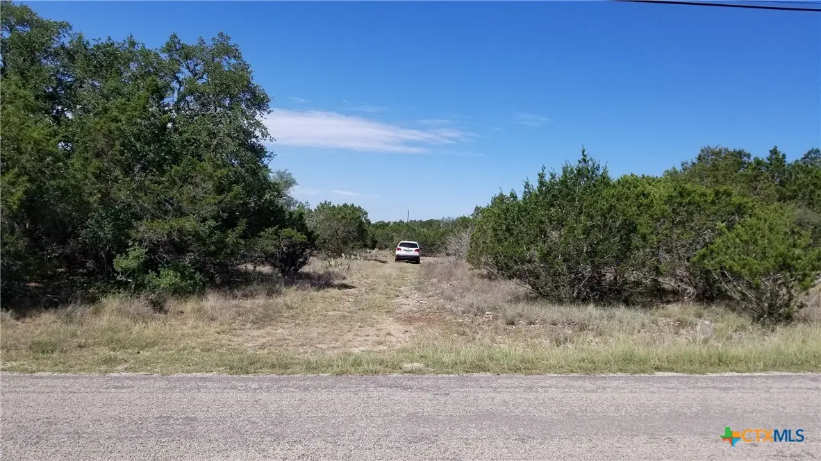 422 Ash Juniper Drive, New Braunfels, TX 78132 - #1