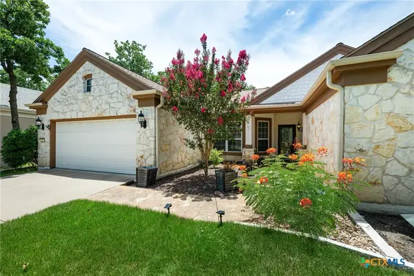 202 River Rock Drive, Georgetown, TX 78633