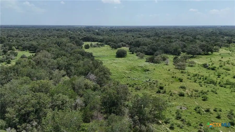 10247 State Highway 111, Yoakum, TX 77995 - #3