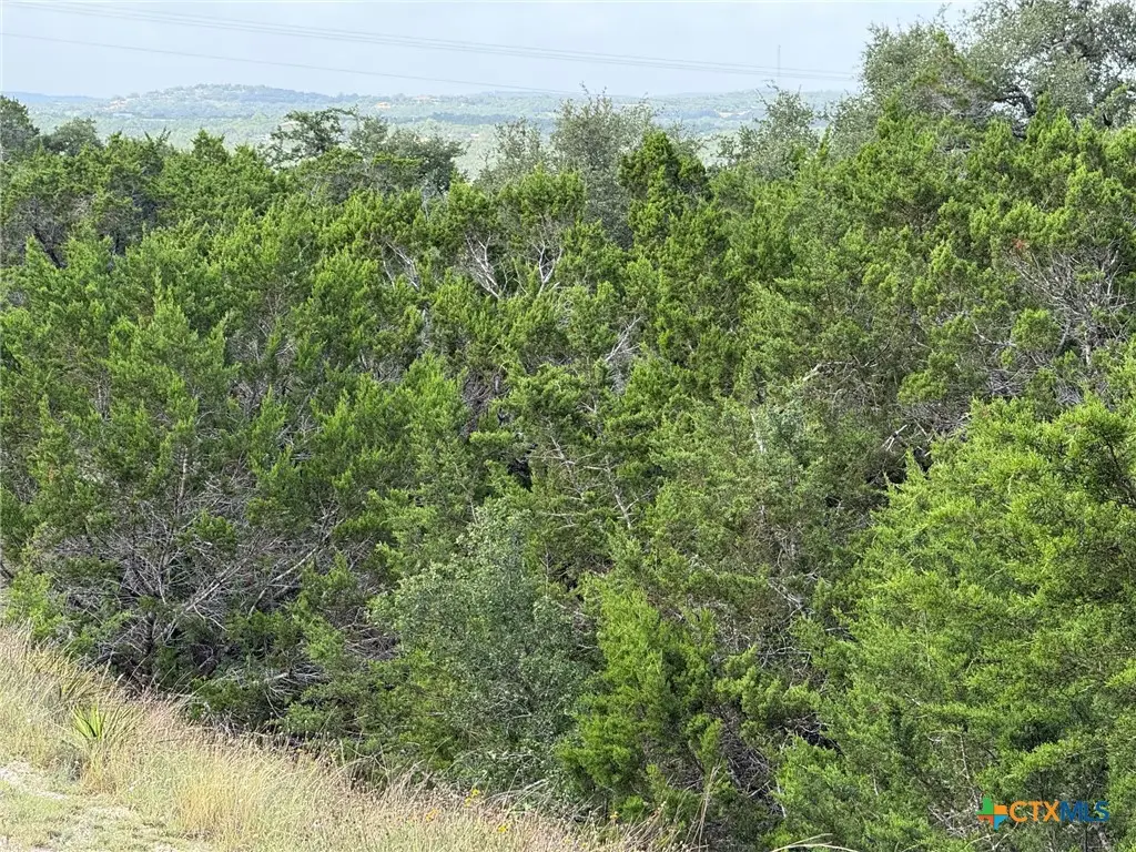 155 Lipizzan Lane, Spring Branch, TX 78070 - #1