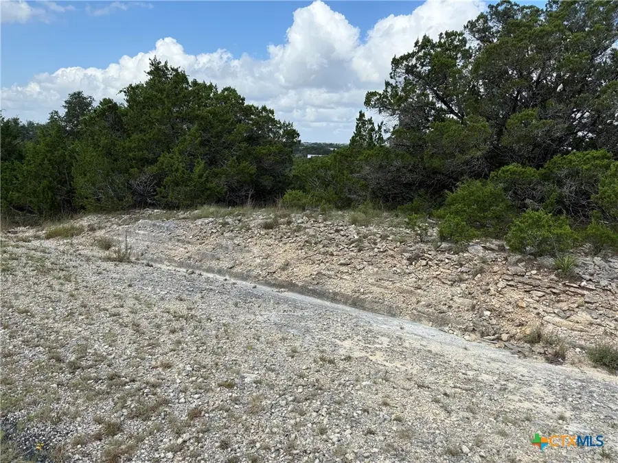 155 Lipizzan Lane, Spring Branch, TX 78070 - #3
