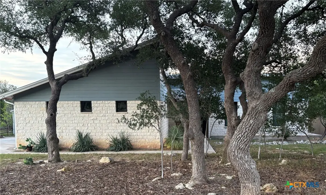 172 Bluff Trail, Dripping Springs, TX 78620 - #1