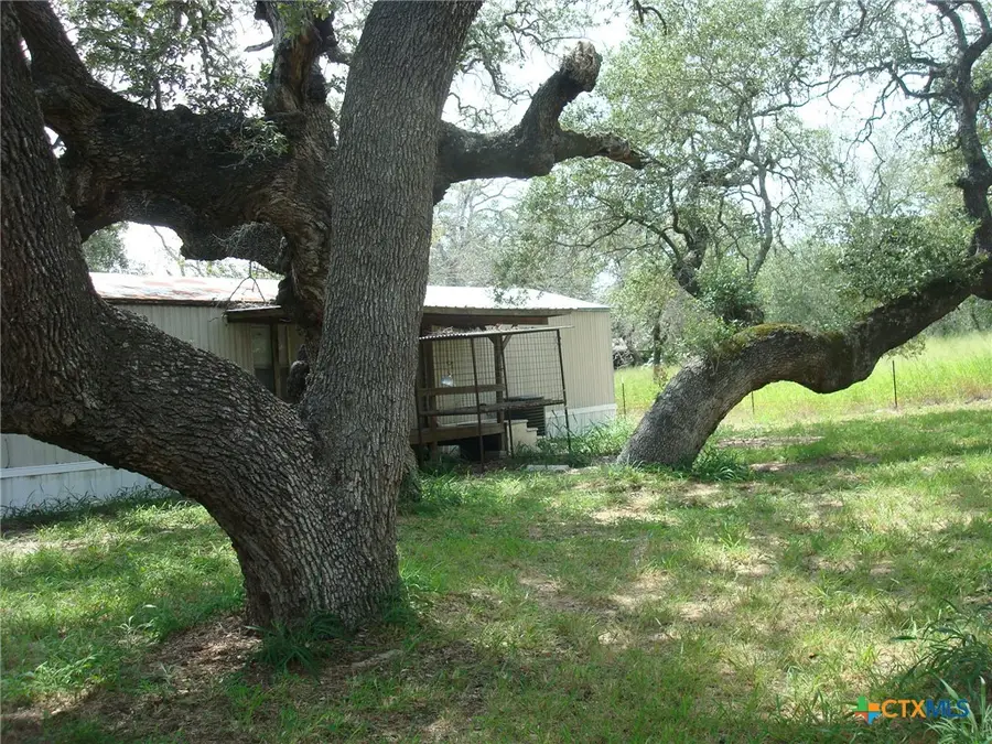 118 Country Oaks Drive, La Vernia, TX 78121 - #3