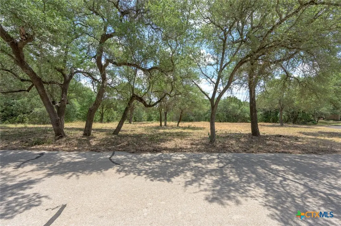 212 Lost Mesa, Belton, TX 76513 - #1