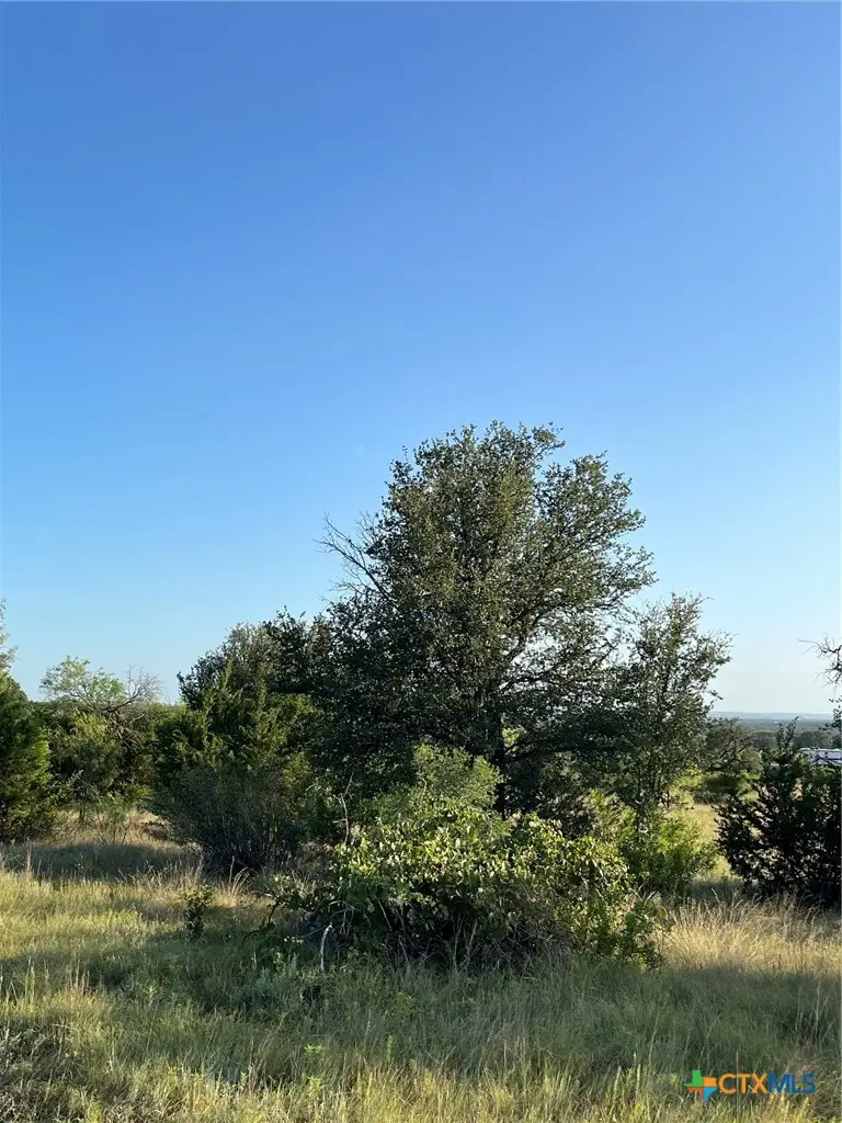 943 Us Highway 183, Goldthwaite, TX 76844 - #1