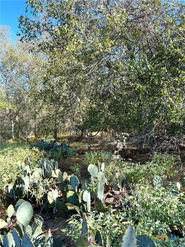 TBD Cr 150, San Antonio, TX 78223