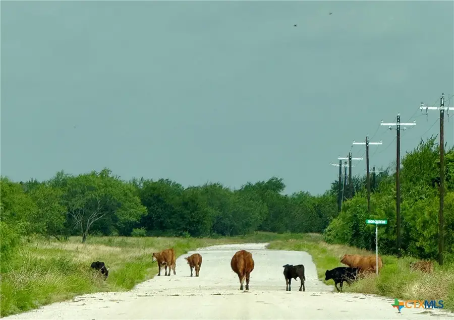 0 Pitchfork Ranch Road, Copperas Cove, TX 76522 - #3