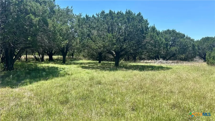 TBD County Road 340, McGregor, TX 76657 - #3