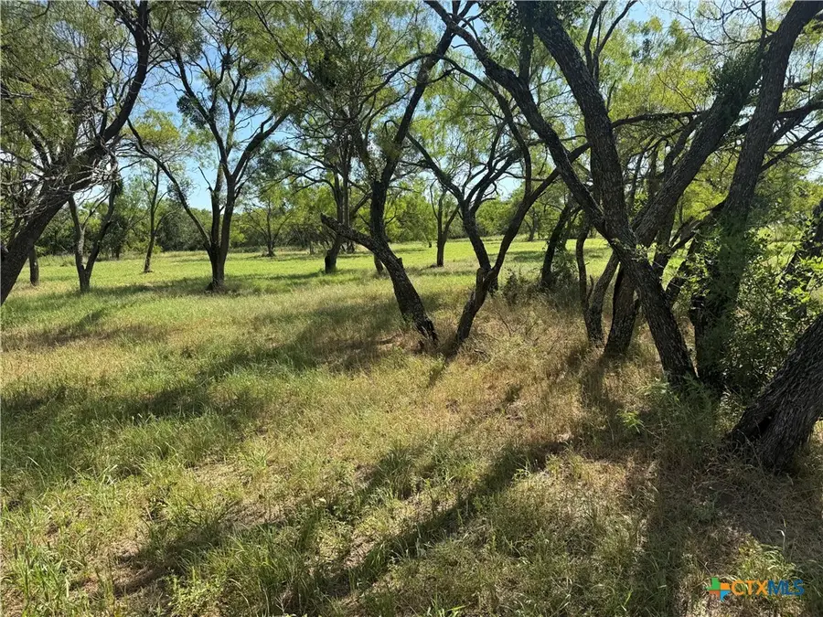 Lot 1 N Sixth Street, Bangs, TX 76823 - #3