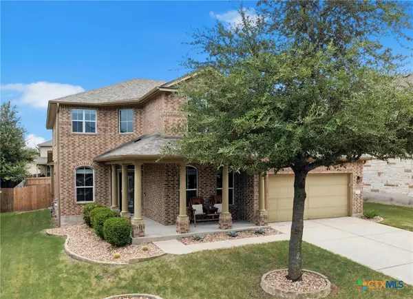 206 Paul Azinger Court, Round Rock, TX 78664