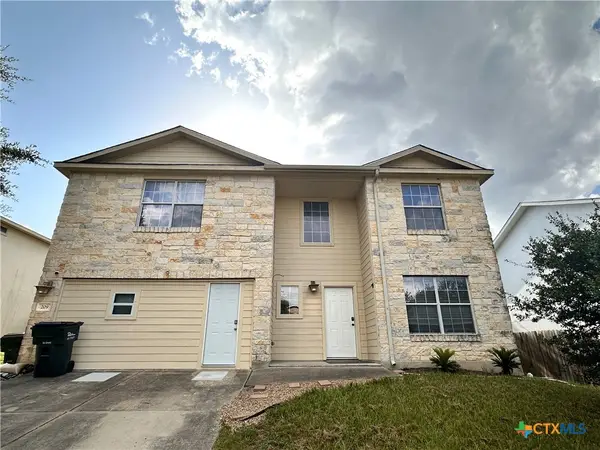 209 Peppergrass Cove, Kyle, TX 78640
