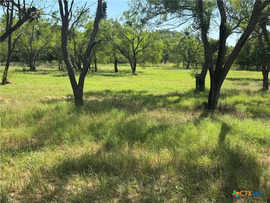 Lot 2 N Sixth Street, Bangs, TX 76823 - #3