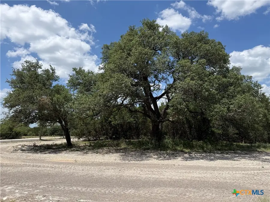 1201 Gannon Trail, Salado, TX 76571 - #3