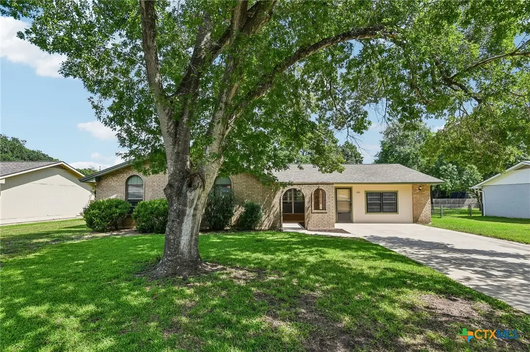 1641 Driftwood Drive, Seguin, TX 78155 - #1