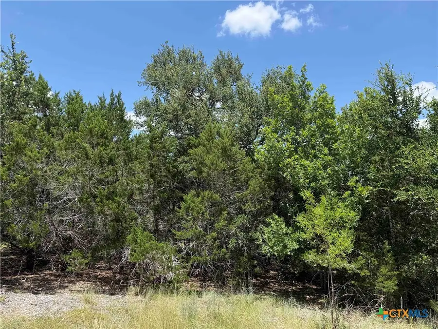 1200 Kenton Parkway, Salado, TX 76571 - #3
