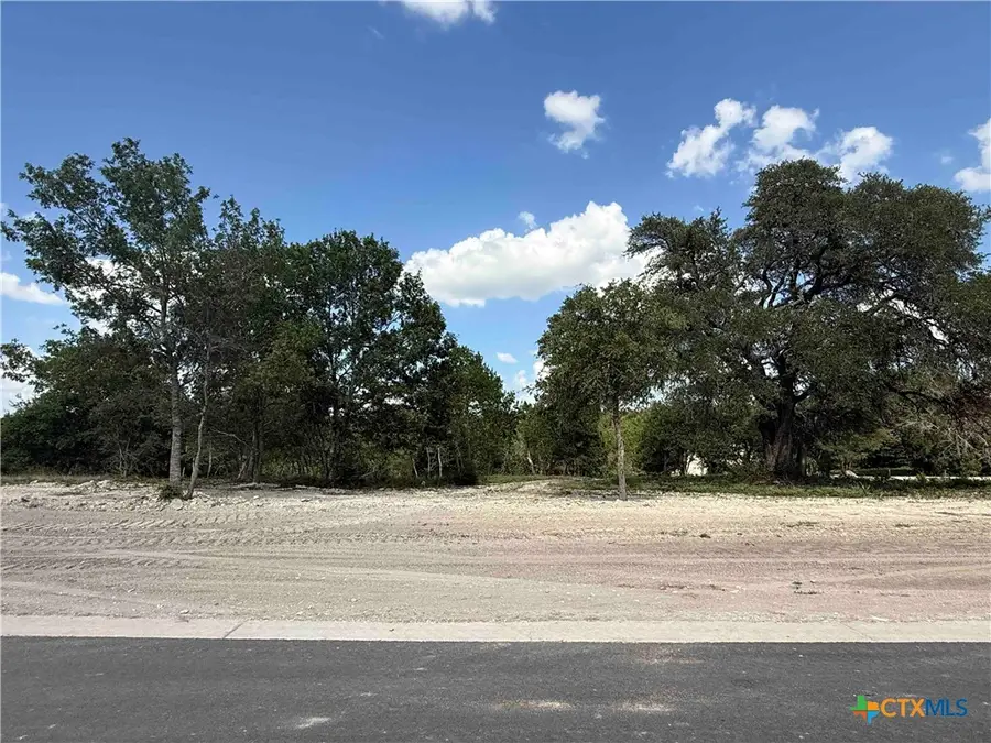 1298 Kenton Parkway, Salado, TX 76571 - #3