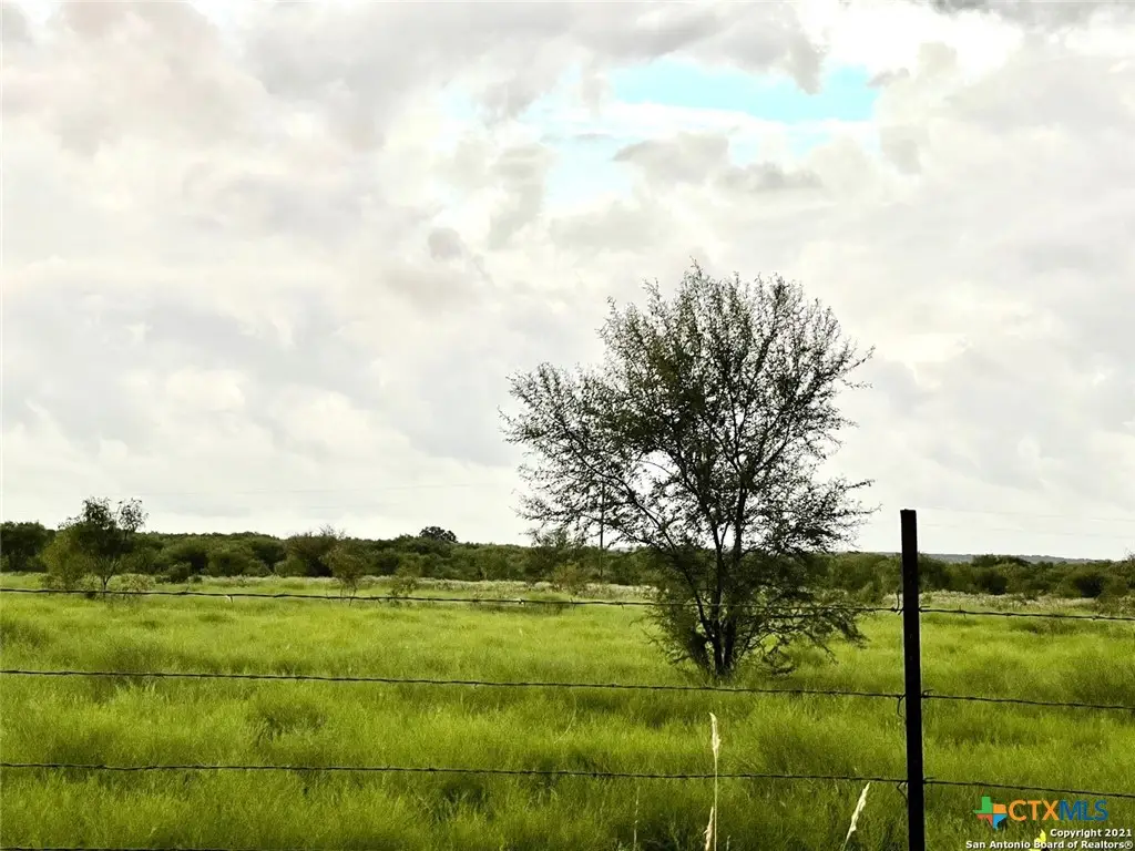 2118 County Road 421, Stockdale, TX 78160 - #1