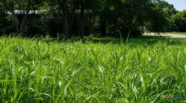 Lot 6 SW Blk 1st Avenue, Waelder, TX 78959
