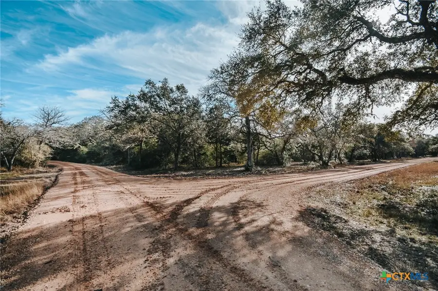 Tract D Vitek Lane, Inez, TX 77968 - #3