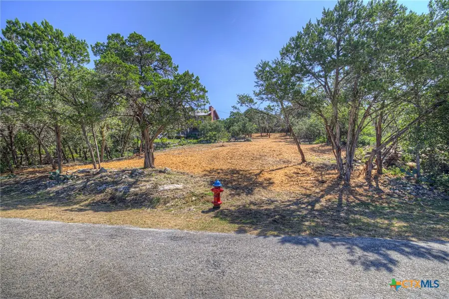 1919 Lakeshore Drive, Canyon Lake, TX 78133 - #2